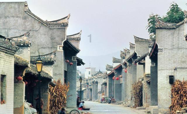 探索世界,尽在家里的阿拉斯加狗六个月大了,胆子特小不敢下楼梯,一直在平台散养,也没时间遛狗和寻狗,现在在训来得及!
